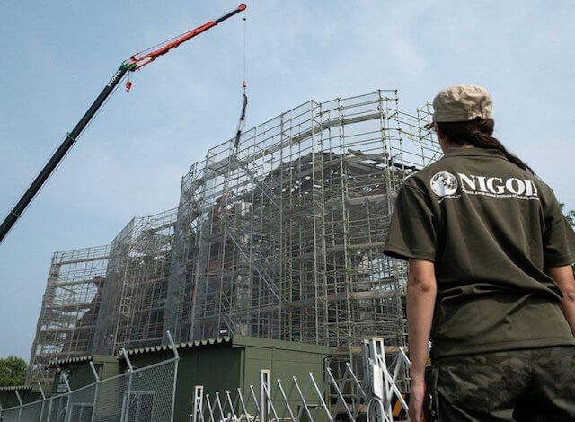 Proses Pembuatan Patung Godzilla Berukuran Raksasa di Jepang (Foto via twitter @godzilla_jp)