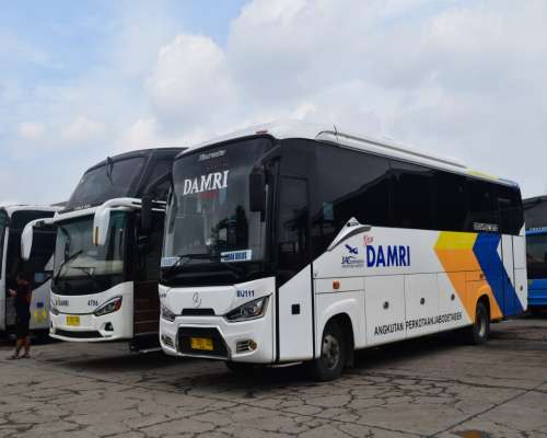 Bus DAMRI pariwisata di Malang akan kembali beroperasi (Foto via damri.co.id)