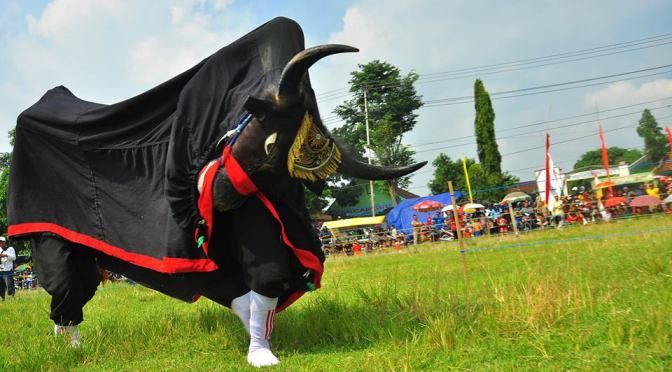 Info “Mberot”, Benarkah Kesenian Bantengan Akan Dibuatkan Hak Paten Oleh Pemerintah Kabupaten Malang?